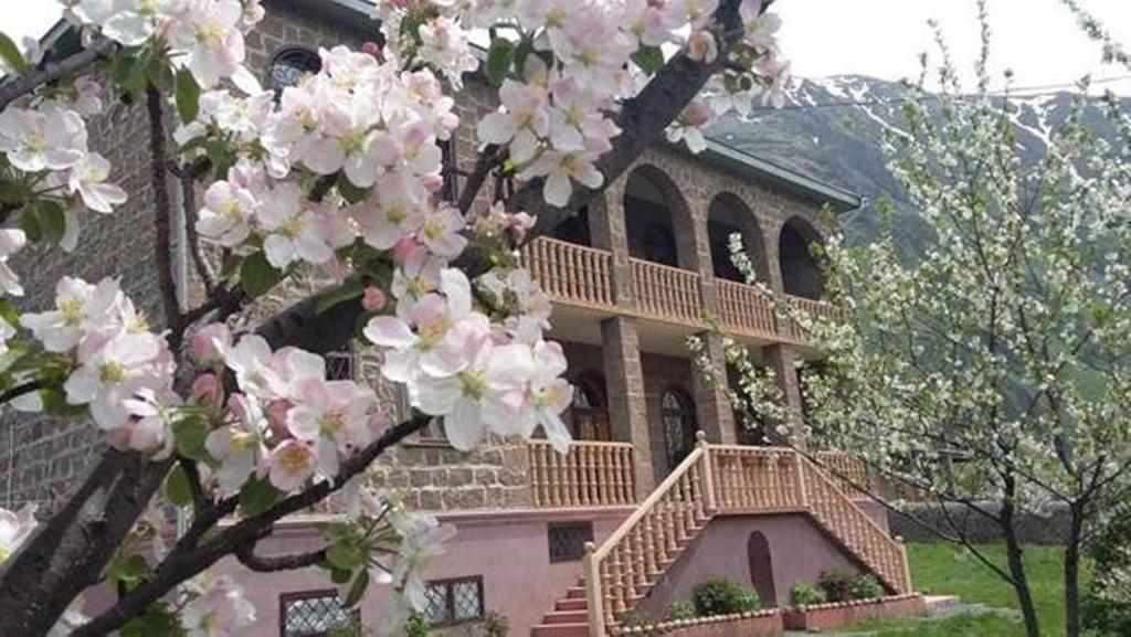 Max Hotel Gogi Alibegashvili Kazbegi Esterno foto
