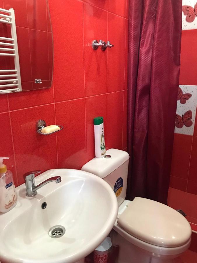 Max Hotel Gogi Alibegashvili Kazbegi Esterno foto