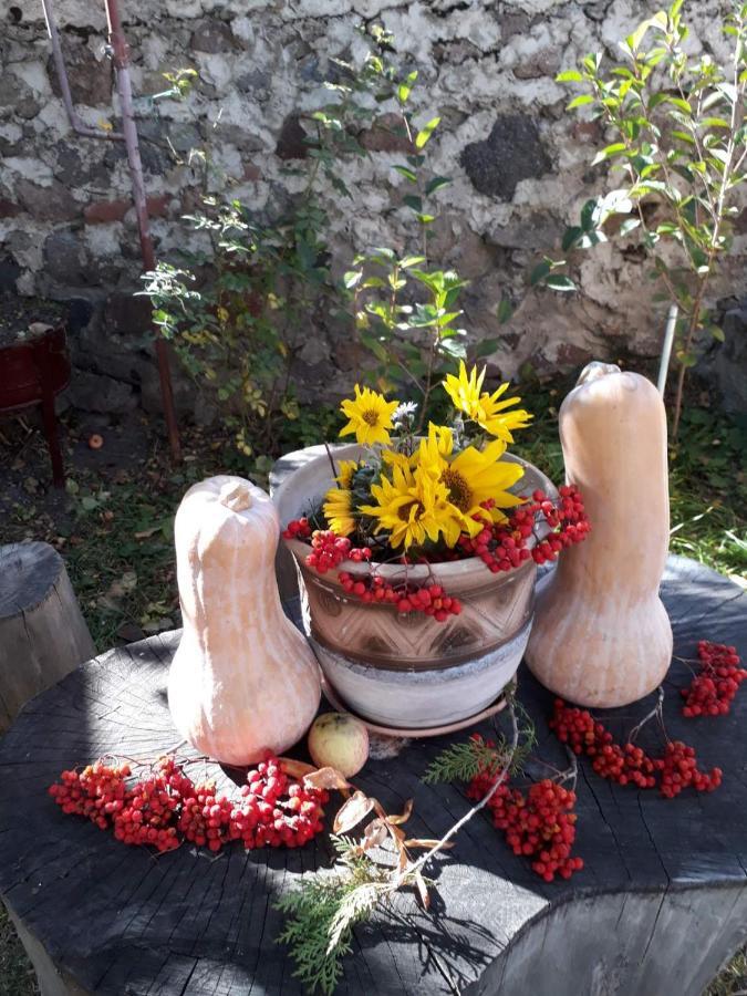 Max Hotel Gogi Alibegashvili Kazbegi Esterno foto